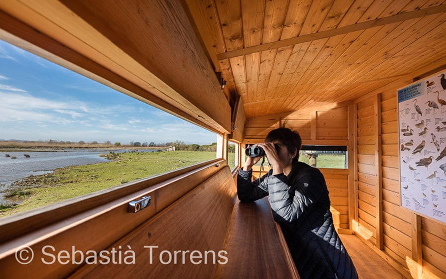 Persona observando los pájaros en el mirador de la Albufera