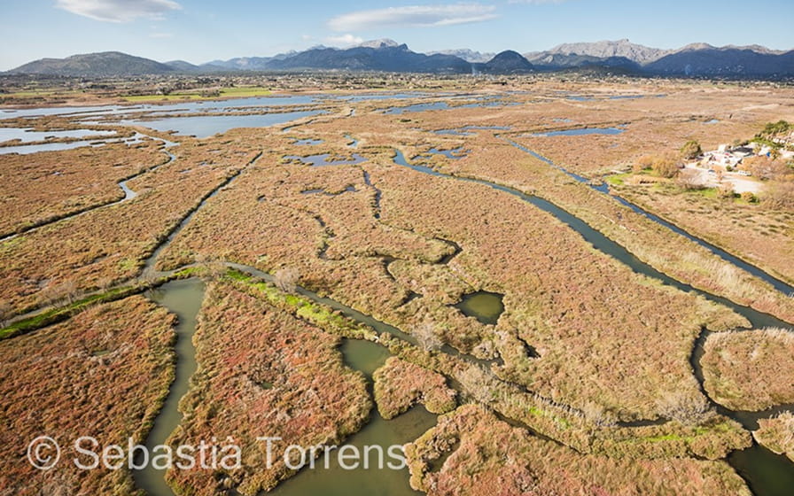 Luftaufnahme der Albufera