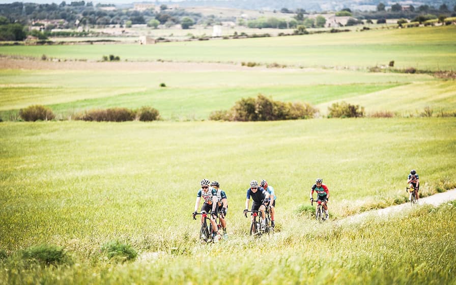 Grupo de ciclistas en una carretera en zona verde
