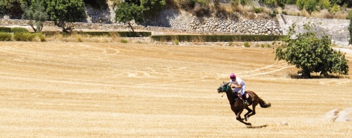 FERIAS Y FIESTAS DE JUNIO