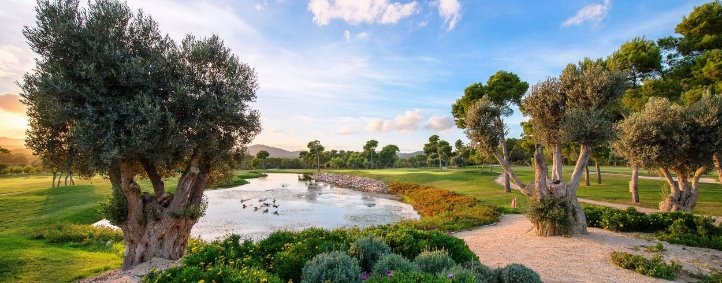 Club de Golf Son Servera