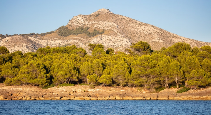 LA VICTORIA - ATALAYA DE ALCUDIA